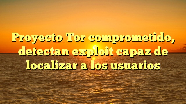 Proyecto Tor comprometido, detectan exploit capaz de localizar a los usuarios